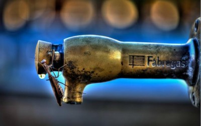 El segundo concurso fotográfico de Naturaleza Urbana del diario La Rioja ya tiene ganadores