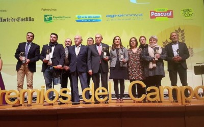 El Norte de Castilla premia a los mejores del campo en 2017